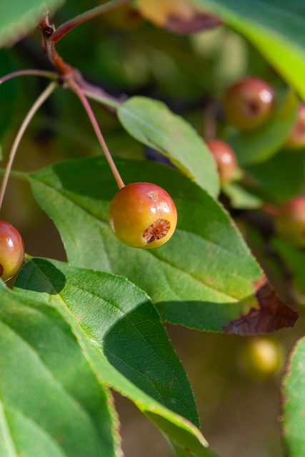 中国在奥运 中国在奥运