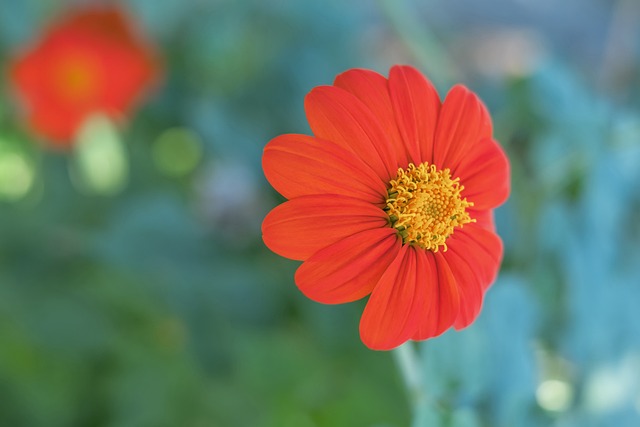 社交媒体 社交媒体