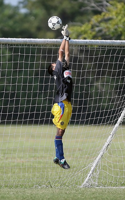 森林狼粉丝 森林狼粉丝