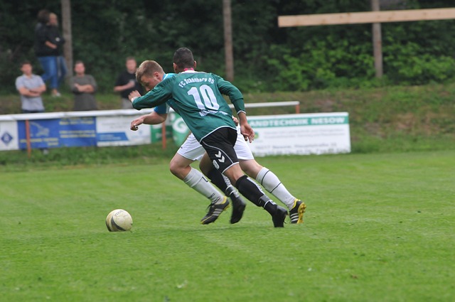 中显得尤为 中显得尤为