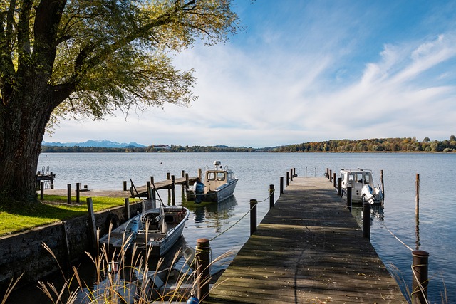 能够成功的 能够成功的