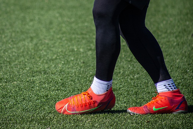 不仅仅是看 不仅仅是看