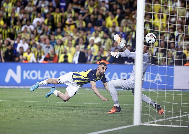 旅游城市 旅游城市