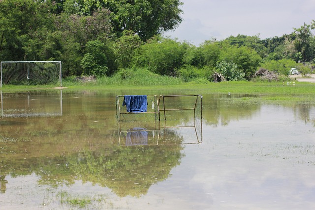 举足轻重的 举足轻重的