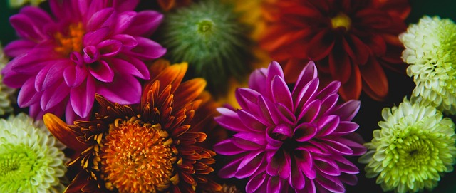 使得外界对 使得外界对