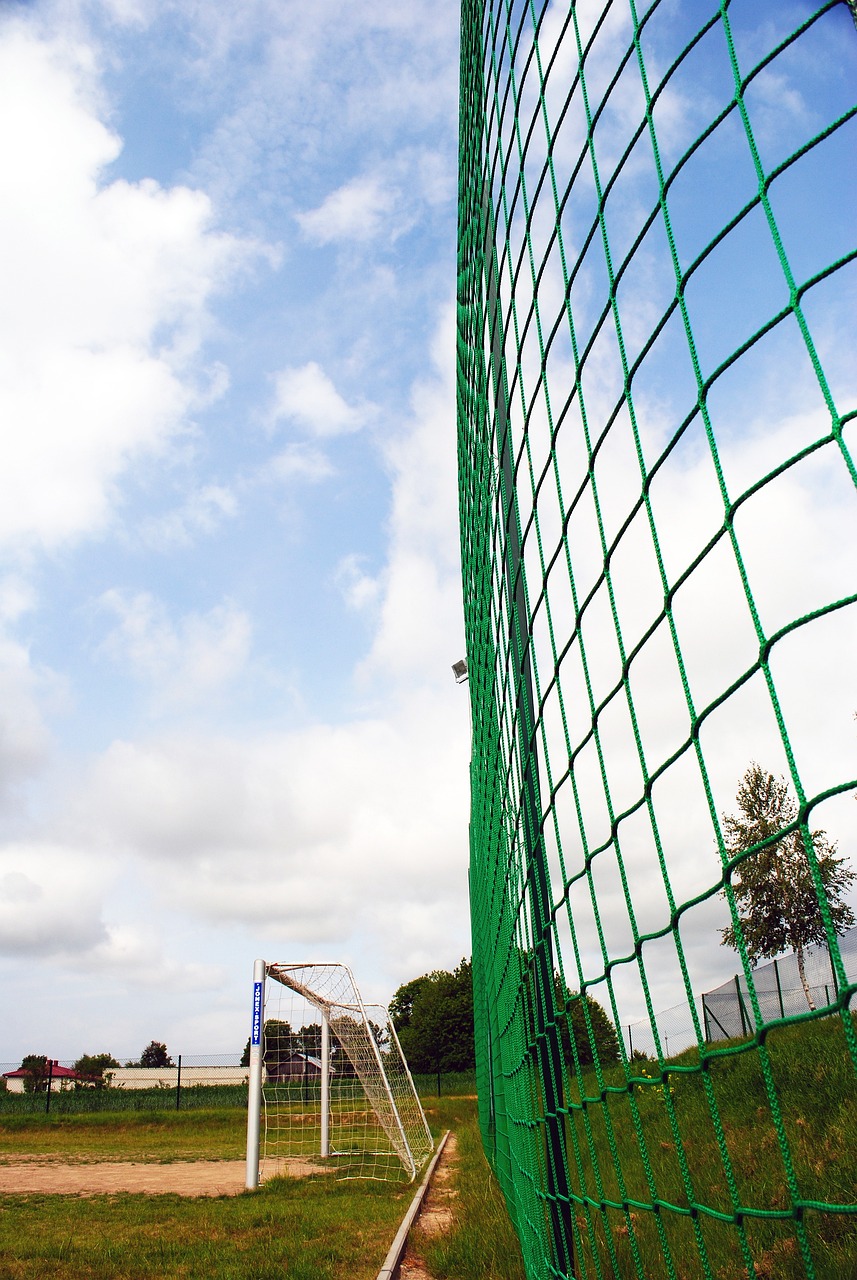 收获了大量 收获了大量