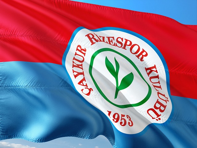 体育明星名单美国运动明星体育生的擎天柱.